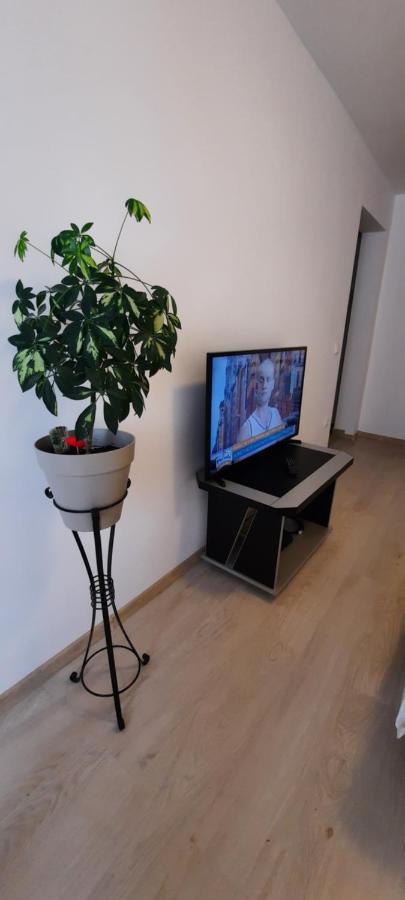 Apartmán Farmec Studio Kluž Exteriér fotografie