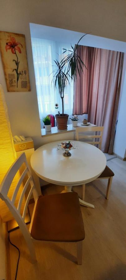 Apartmán Farmec Studio Kluž Exteriér fotografie
